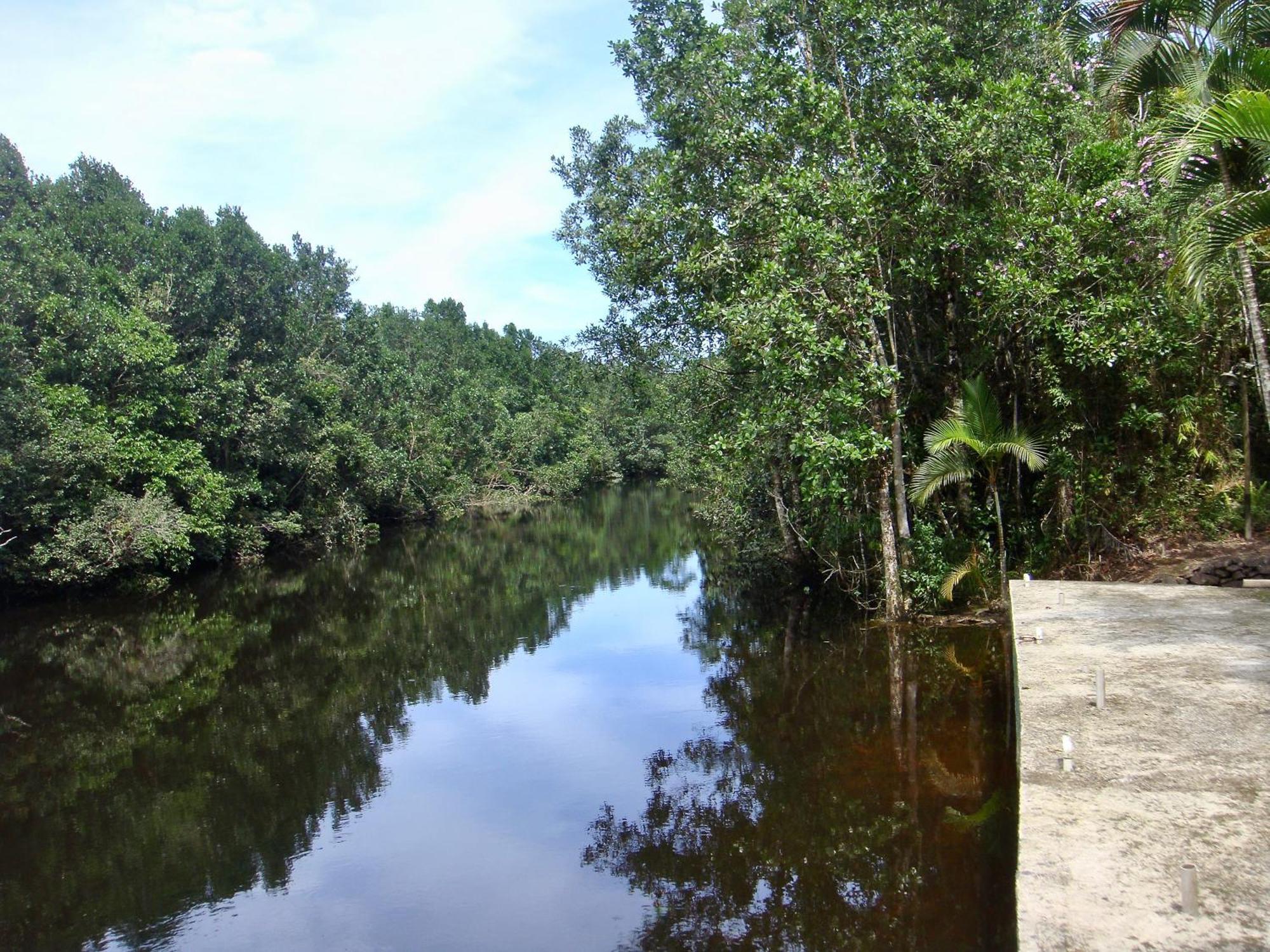 Holiday home Casa Enorme: Riverside Retreat With Forest Views And High-speed Internet *